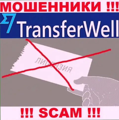 Вы не сможете найти данные о лицензии интернет-воров TransferWell, т.к. они ее не сумели получить