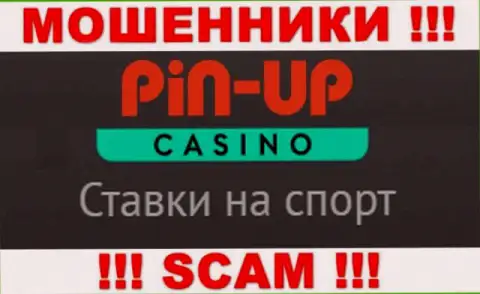 Основная работа Пин-Ап Казино - это Casino, будьте крайне внимательны, прокручивают делишки противоправно