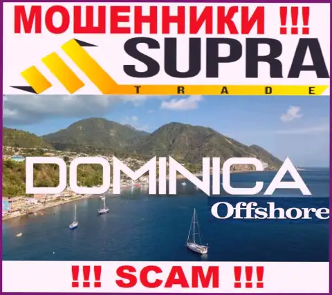 Организация SupraTrade Io присваивает вложенные денежные средства лохов, зарегистрировавшись в офшорной зоне - Доминика