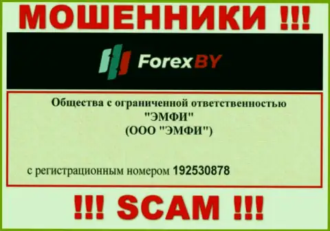 На сервисе мошенников ForexBY Com предоставлен именно этот регистрационный номер указанной конторе: 192530878