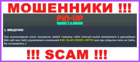Юридическое лицо компании Pin-Up Bet - это B.W.I. BLACK-WOOD LIMITED, информация позаимствована с официального информационного ресурса