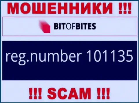 Регистрационный номер конторы Bit Of Bites, который они представили у себя на сайте: 101135