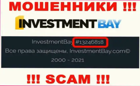 Регистрационный номер, под которым зарегистрирована организация Investment Bay: 13246818