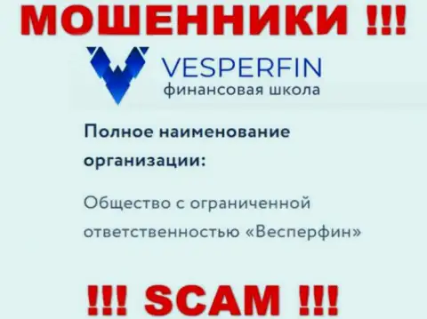 Информация про юридическое лицо мошенников Vesper Fin - ООО Весперфин, не сохранит вас от их лап
