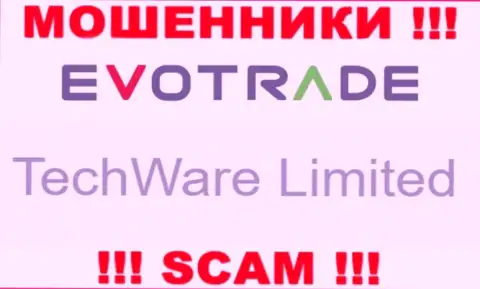 Юр. лицом EvoTrade считается - TechWare Limited