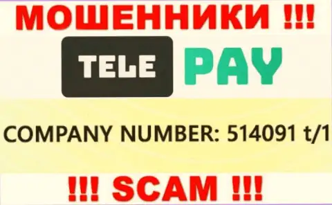 Регистрационный номер ТелеПай, который размещен мошенниками на их web-сайте: 514091 t/1