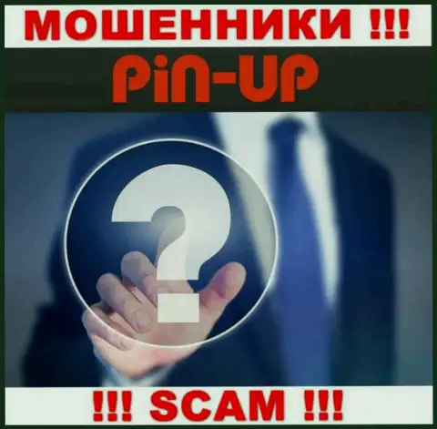 Не работайте совместно с мошенниками Pin Up Casino - нет сведений о их непосредственном руководстве