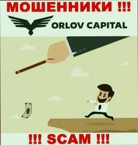 Не верьте Орлов Капитал - сохраните свои денежные активы
