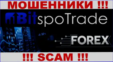 Forex - это то, чем занимаются internet мошенники BitSpoTrade Com