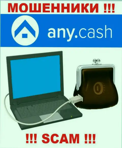 Any Cash это ВОРЮГИ, сфера деятельности которых - Цифровой кошелек