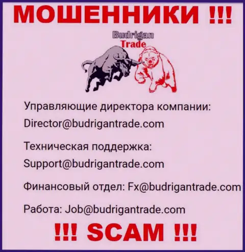 Не отправляйте сообщение на e-mail Budrigan Ltd - это internet-мошенники, которые присваивают денежные средства доверчивых клиентов