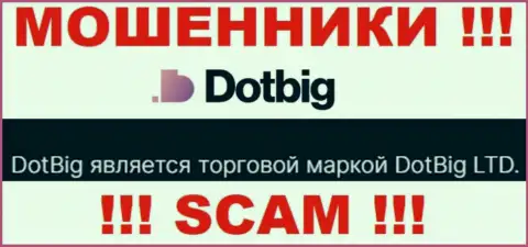 Dot Big - юридическое лицо internet-мошенников организация DotBig LTD