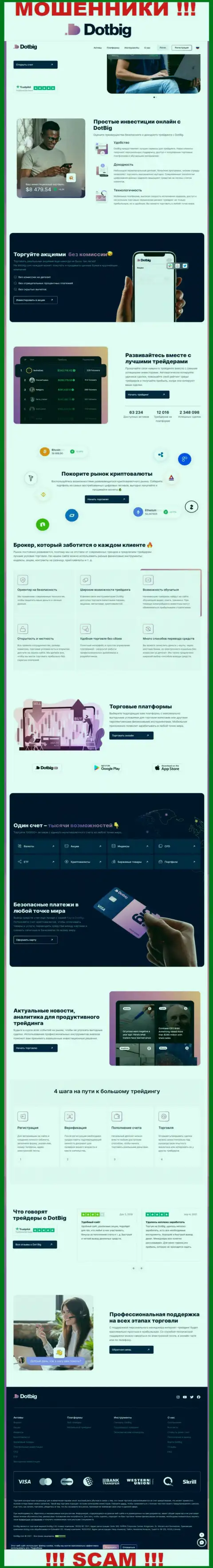 Официальный интернет-сервис мошенников DotBig Com