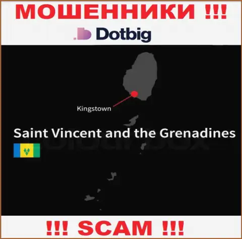 Dot Big имеют оффшорную регистрацию: Kingstown, St. Vincent and the Grenadines - будьте крайне бдительны, мошенники