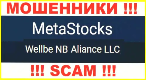 Юридическое лицо кидал МетаСтокс Ко Ук - это Wellbe NB Aliance LLC