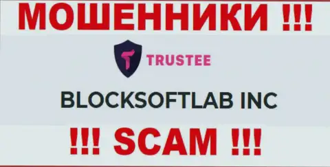 Trustee Wallet - это ШУЛЕРА !!! Владеет данным лохотроном BLOCKSOFTLAB INC