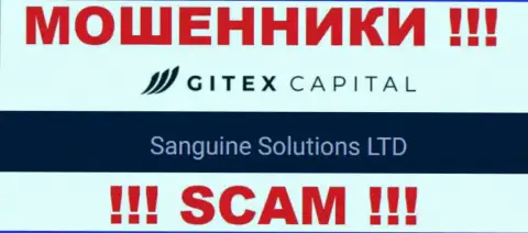 Юридическое лицо Sanguine Solutions LTD - это Sanguine Solutions LTD, такую информацию разместили мошенники на своем интернет-сервисе