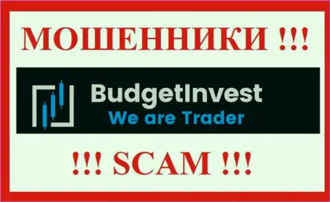 BudgetInvest Org - это МОШЕННИКИ !!! Финансовые средства не возвращают !!!