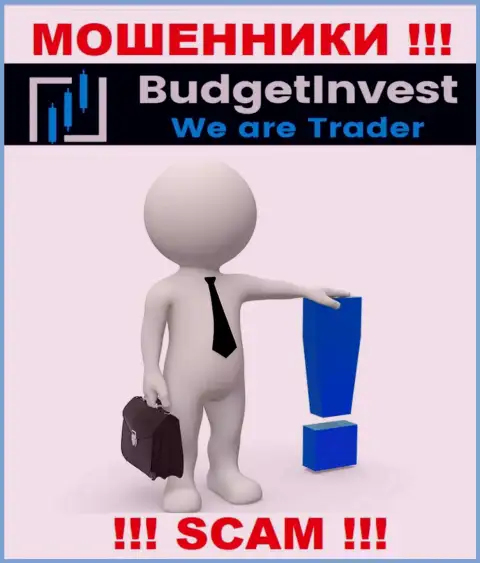 Budget Invest - интернет шулера !!! Не хотят говорить, кто ими управляет