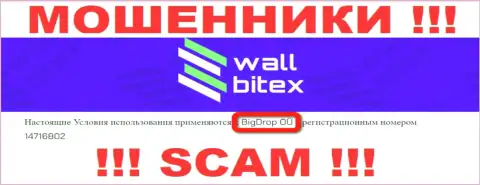 WallBitex Com - это МОШЕННИКИ ! Руководит указанным разводняком БигДроп ОЮ
