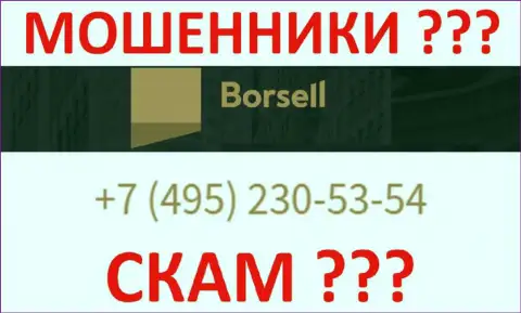С какого именно номера телефона позвонят internet-махинаторы из конторы Borsell Ru неведомо, у них их множество